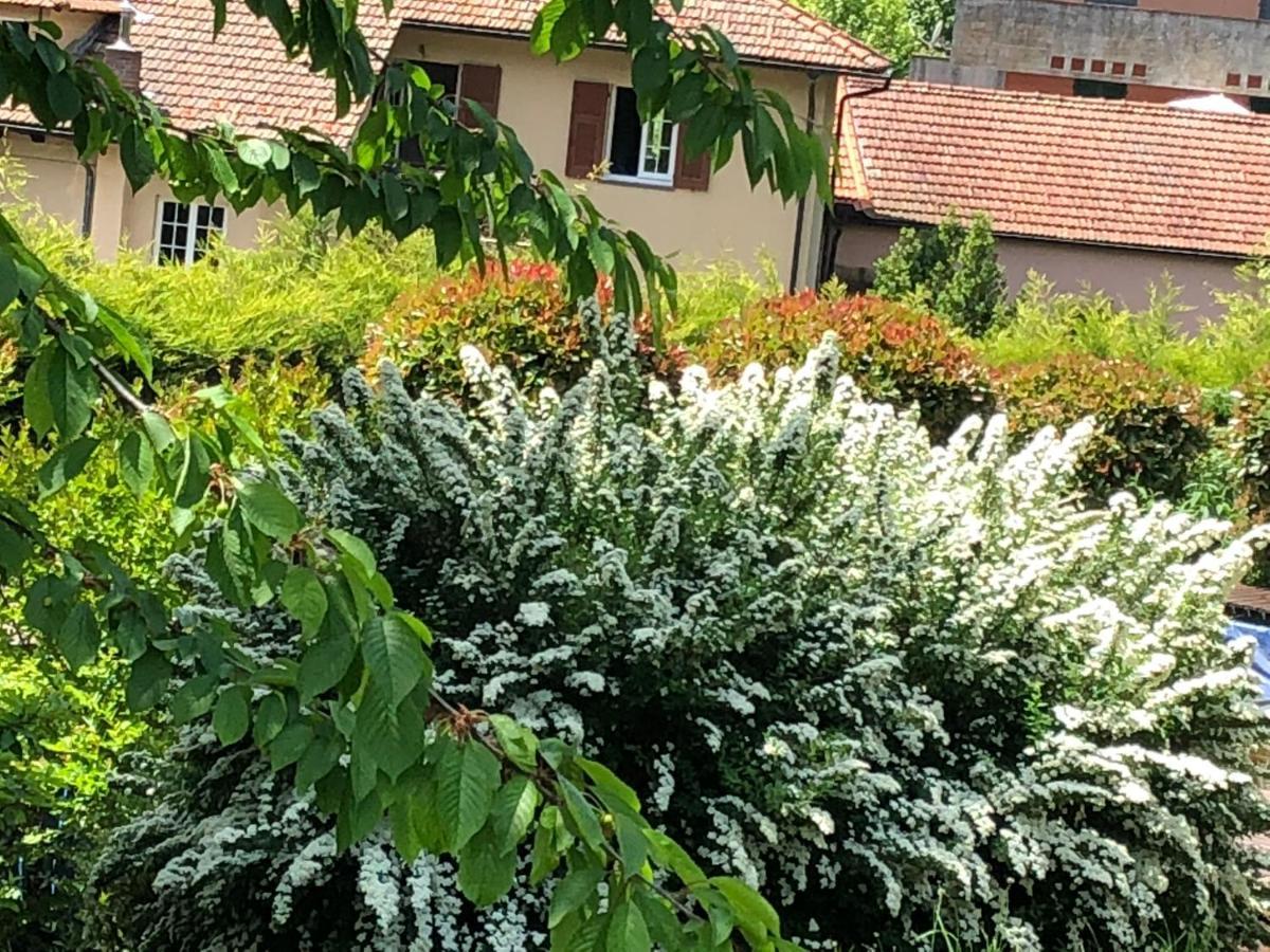 A O Soa B&B Savignone Екстериор снимка